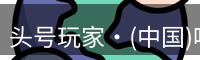 头号玩家·(中国)唯一官方网站